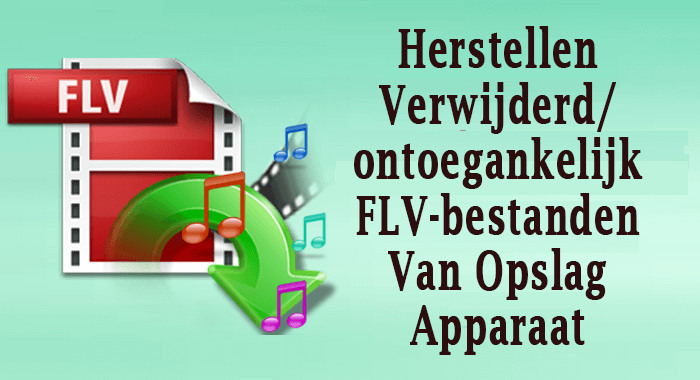 FLV File Herstel