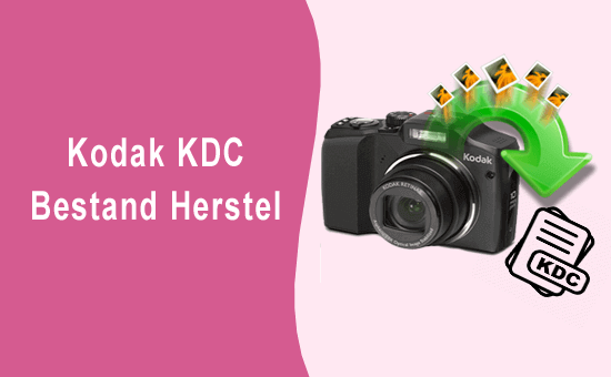 Kodak KDC Bestand Herstel