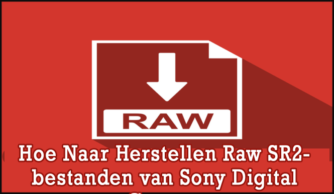 Hoe Naar Herstellen Raw SR2-bestanden van Sony Digital Camera