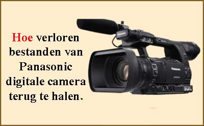panasonic digitaal camera Herstel