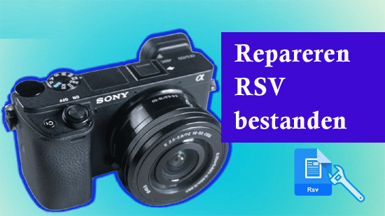 repareren RSV